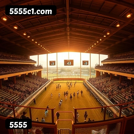 Acesso ao 5555